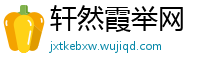 轩然霞举网